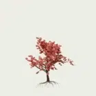 Acer-palmatum-vegetaux-3d-erable-du-japon-arbre-rouge-studio-l4m-lumion-fbx-7-ans