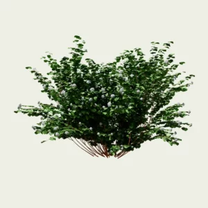 Arbutus-marina-arbousier-de-marina-arbre-3d-vegetaux-vegetation-studio-l4m-lumion-fbx-primptemps