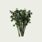 Bambou-bambusa-arundinacea-graminee-vegetation-3d-lumion-fbx-studio-l4m