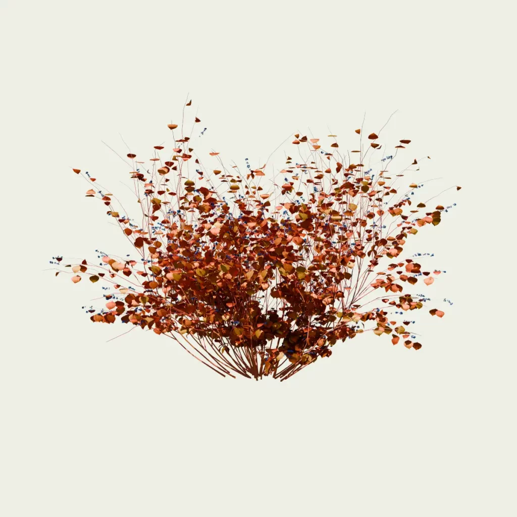 Cornus-sanguinea-cornouiller-sanguin-l4m-studio-lumion-fbx-arbuste-vegetation-3d-automne