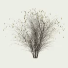 Corylus-avellana-arbuste-fruitier-noisetier-vegetation-3d-lumion-fbx-studio-l4m-printemps-13ans