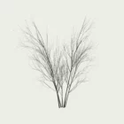 Prunus-spinosa-hiver-prunellier-vegetation-3d-fbx-lumion-studio-l4m-variante-arbuste-epineux-prunelles-8ans
