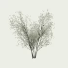 Prunus-spinosa-printemps-prunellier-vegetation-3d-fbx-lumion-studio-l4m-arbuste-epineux-saison-8-ans