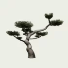 olea-europea-olivier-nuage-en-boule-olivier-vegetation-3d-arbre-lumion-fbx-studio-l4m-75 ans