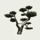 olea-europea-olivier-nuage-en-boule-olivier-vegetation-3d-fbx-lumion-studio-l4m-regions-mediterraneen-85 ans