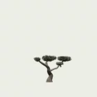 olivier-nuage-en-boule-olea-europea-vegetation-3d-fbx-lumion-studio-l4m-25-ans