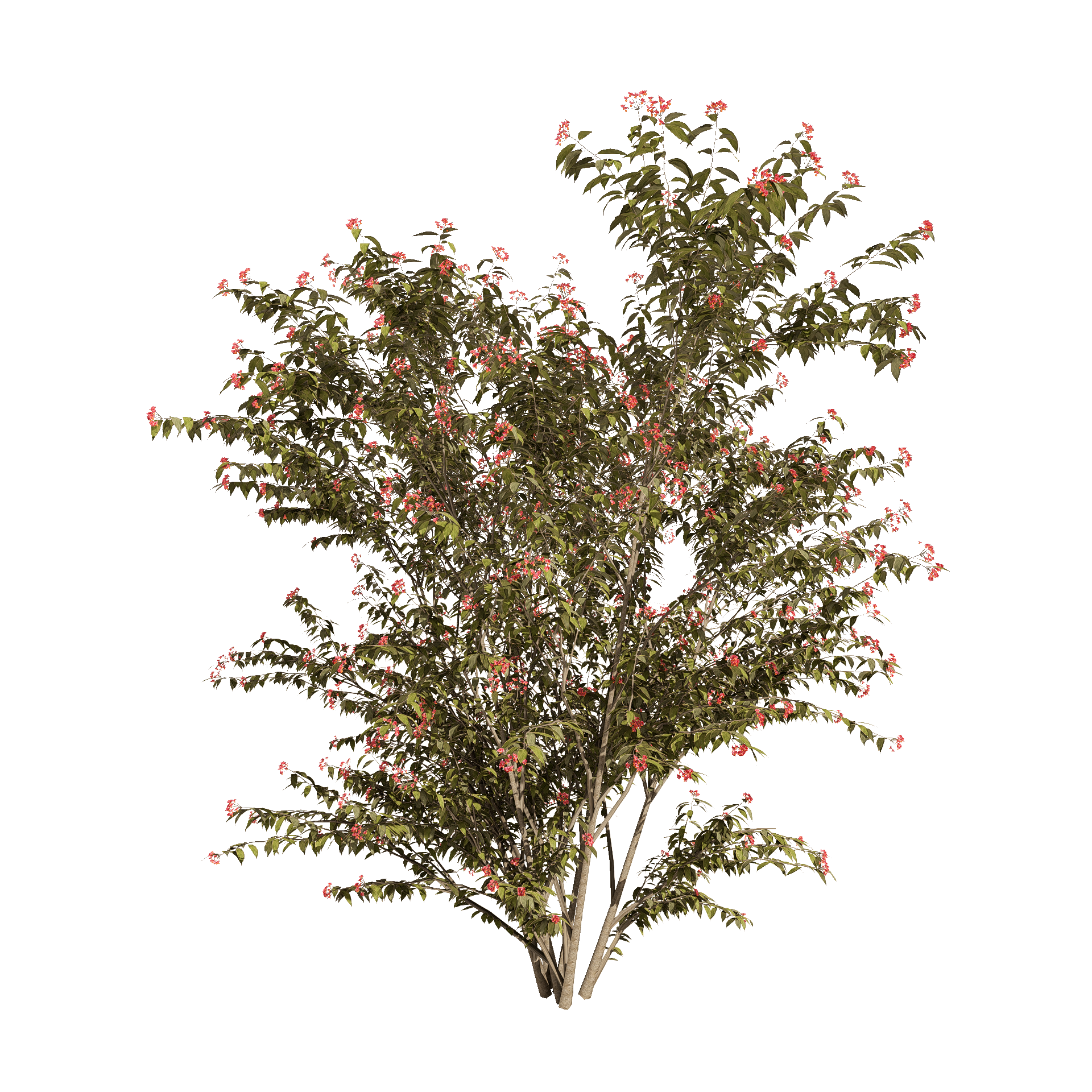 plante-3d-disponible-vegetation-3d-fbx-studio-l4m