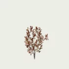 CERCIS-FOREST-PANSY T1-gainier-du-canada-arbre-vegetation-3d-studio-l4m-arbre-Lumion-fbx