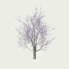 CERCIS-FOREST-PANSY-T4-gainier-du-canada-vegetation-3d-studio-l4m-vegetation-3d-arbre