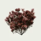 COTINUS - ROYALE-PURPLE-T3-arbre-a-perruques-arbuste-vegetation-3d-studio-l4m-fbx-Lumion
