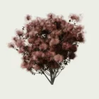COTINUS - ROYALE-PURPLE-T4-arbre-a-perruques-arbuste-vegetation-3d-studio-l4m-fbx-Lumion