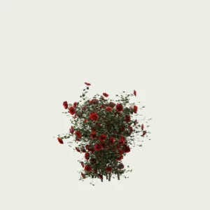 ROSA - BUISSON-T1-Rosier-buisson-Lumion-fbx-arbuste-vegetation-3d-studio-l4m