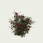 ROSA - BUISSON-T2-rosier-buisson-Lumion-fbx-arbuste-vegetation-3d-studio-l4m