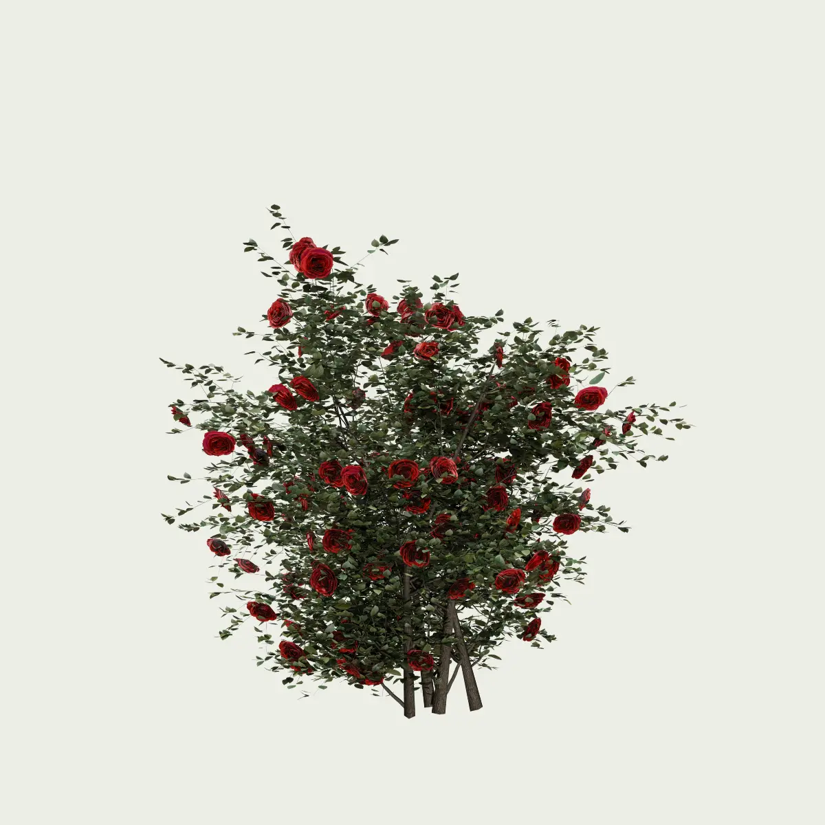 ROSA - BUISSON-T2-rosier-buisson-Lumion-fbx-arbuste-vegetation-3d-studio-l4m