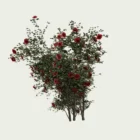 ROSA - BUISSON-T3-rosier-buisson-Lumion-fbx-arbuste-vegetation-3d-studio-l4m