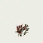 ROSA - MURAL-T1-grimpant-rouge-Lumion-fbx-studio-l4m-vegetation-3d