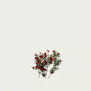 ROSA - MURAL-T1-grimpant-rouge-Lumion-fbx-studio-l4m-vegetation-3d