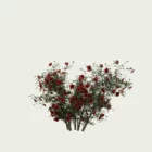 ROSA - MURAL-T2-grimpant-rouge-Lumion-fbx-studio-l4m-vegetation-3d