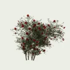 ROSA - MURAL-T3-grimpant-rouge-Lumion-fbx-studio-l4m-vegetation-3d