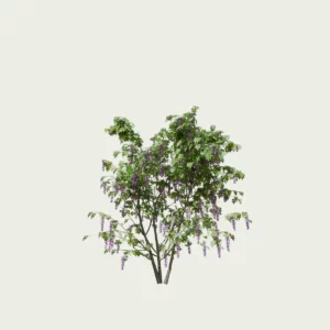 WISTERIA-T1-glycine-vegetation-3d-studio-l4m-fbx-lumion