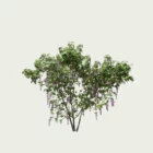 WISTERIA-T2-glycine-vegetation-3d-studio-l4m-fbx-lumion-plante