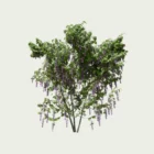 WISTERIA-T3-plantes-3d-vegetation-studio-l4m-glycine-fbx-lumion