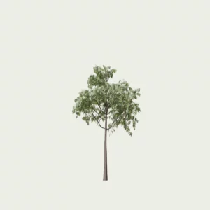 CORMUS-DOMESTIcA-T1-cornier-Lumion-fbx-arbre-fruitier-vegetation-l4m-studio