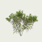 WISTERIA-T2-glycine-vegetation-3d-studio-l4m-fbx-lumion-optimized