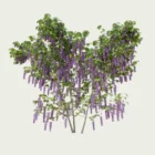 WISTERIA-T4-glycine-vegetation-3d-studio-l4m-fbx-lumion-optimized