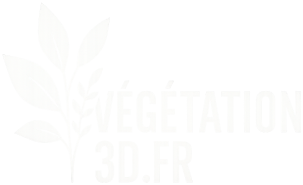 Végétation 3D