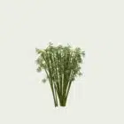Bambou-bambusa-arundinacea-T1-graminee-vegetation-3d-lumion-fbx-studio-l4m-paysagiste-optimized